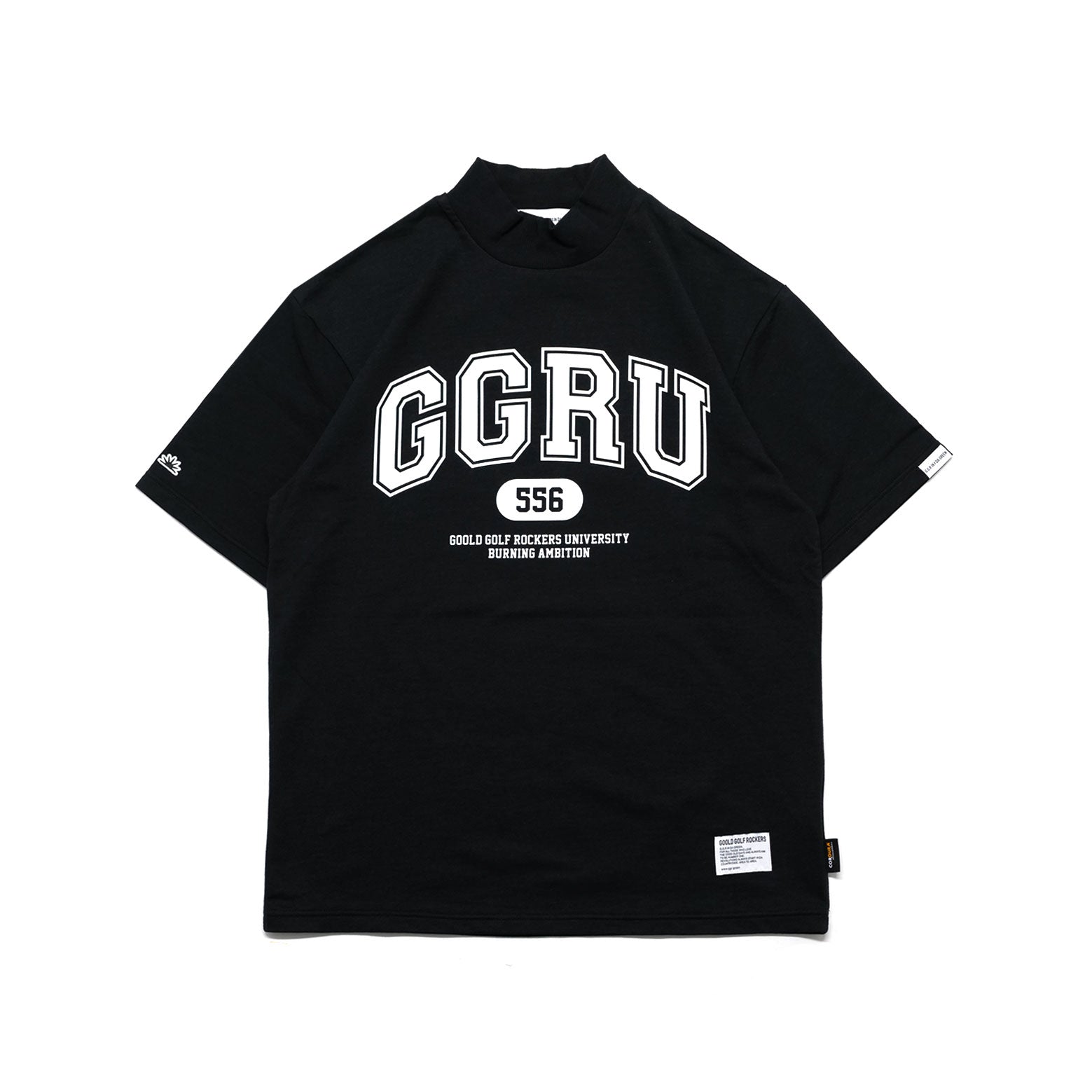 GGRU SETUP 