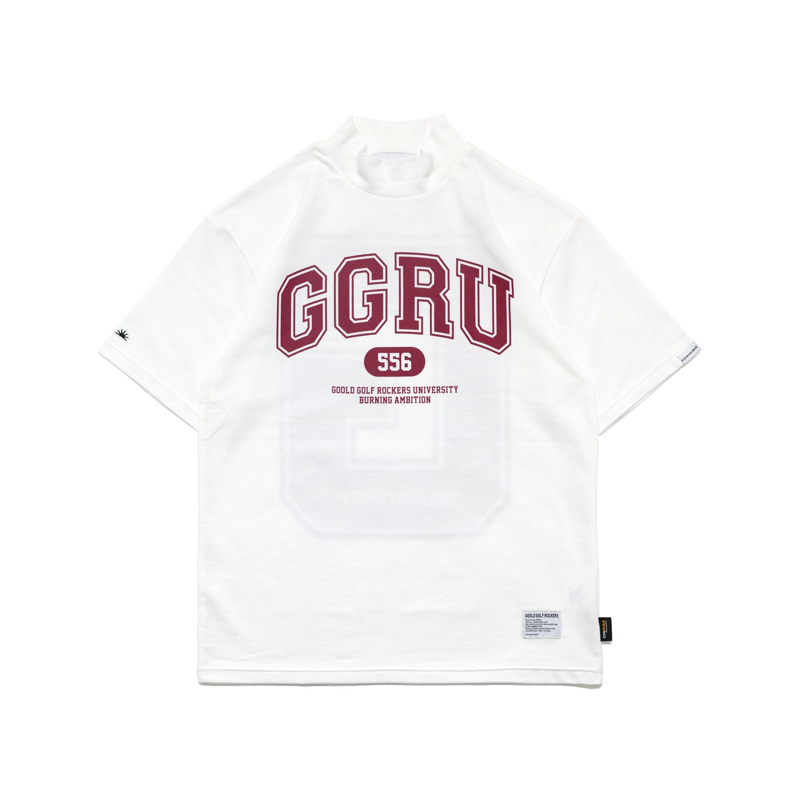 GGRU SETUP 